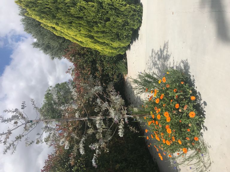 My Home Of Aging, Woodland Hills, CA 1