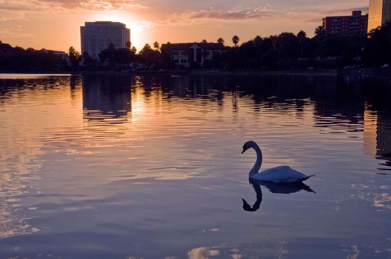 Grace Manor at Lake Morton, Lakeland, FL 1