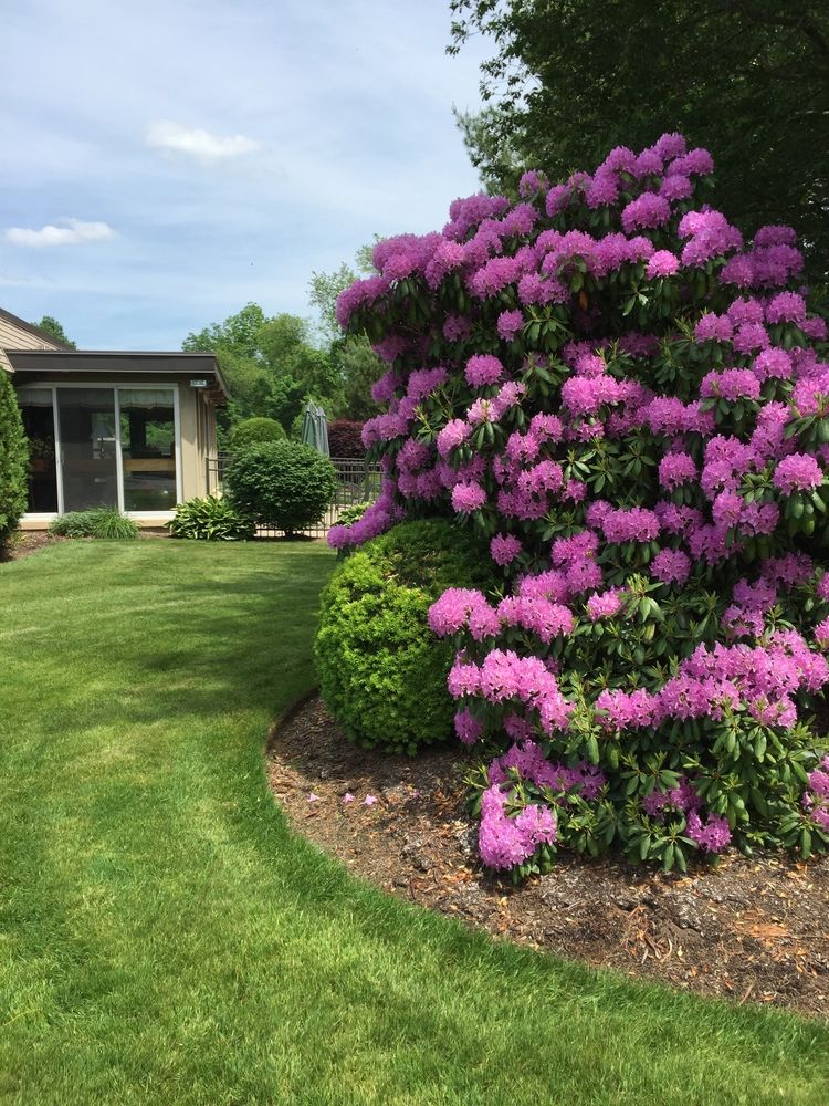 Cra-Mar Meadows, Cranston, RI 1