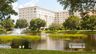 Jacaranda Trace
