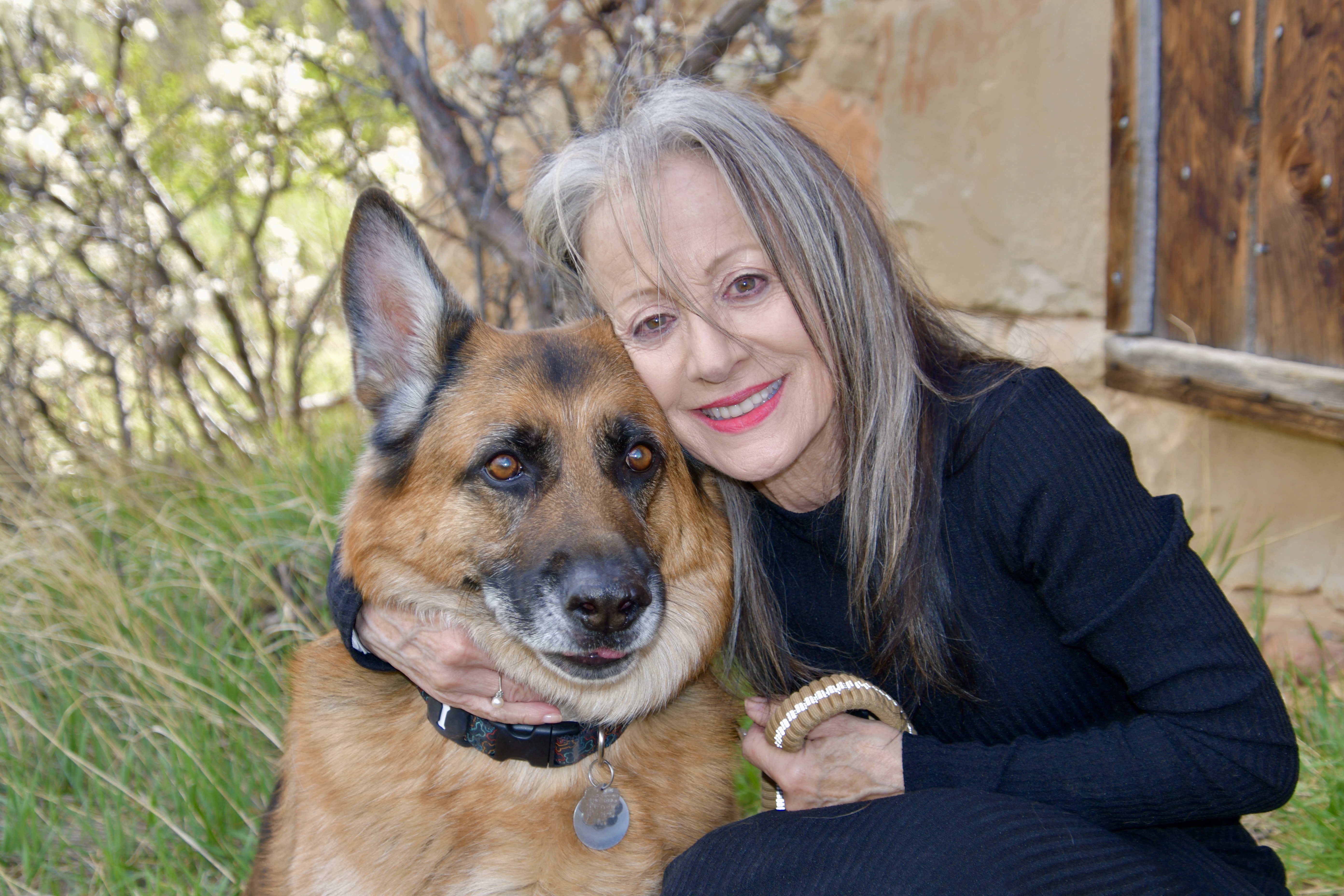 Diana Morefield profile image