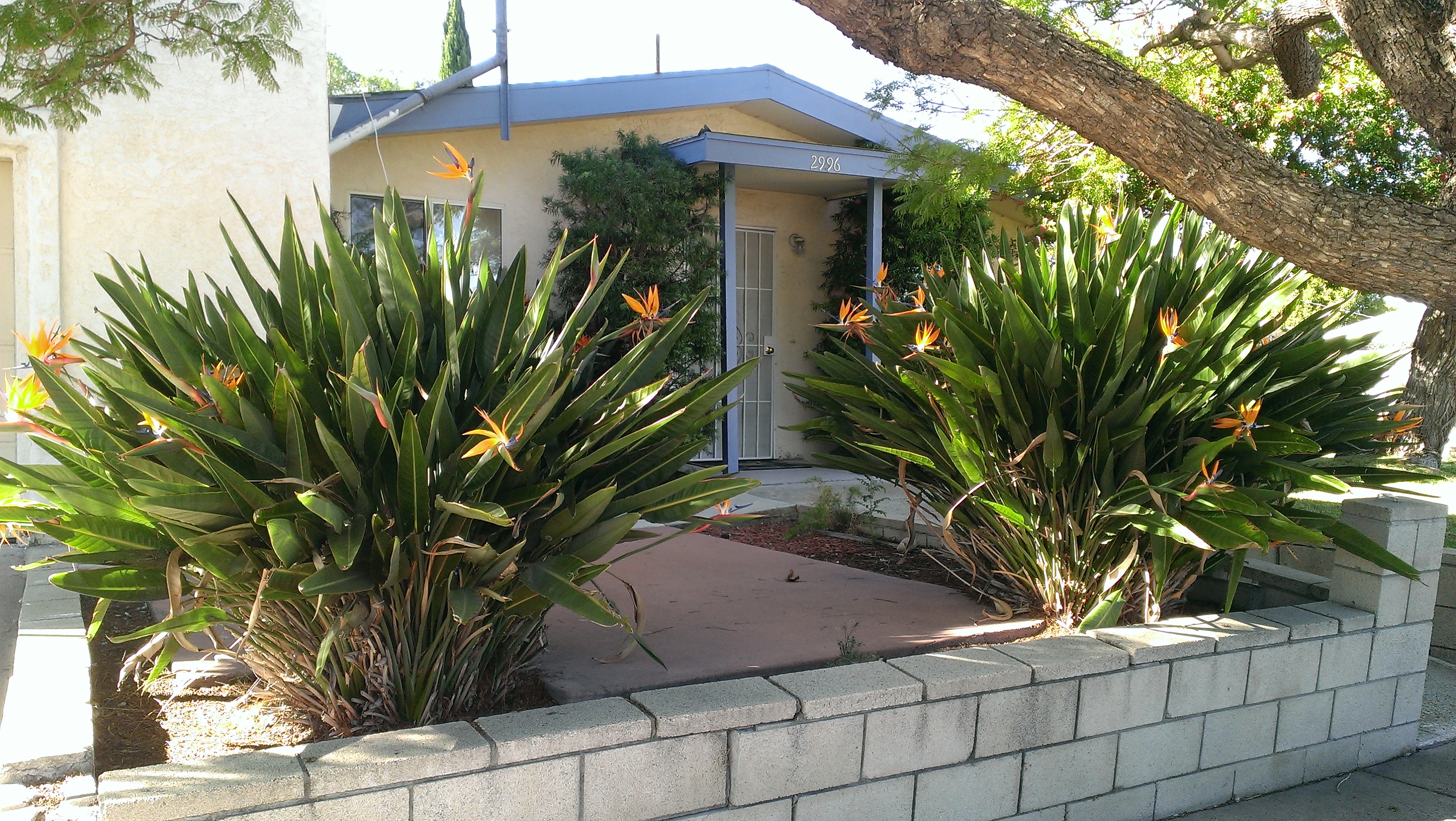 MISSION HOME
