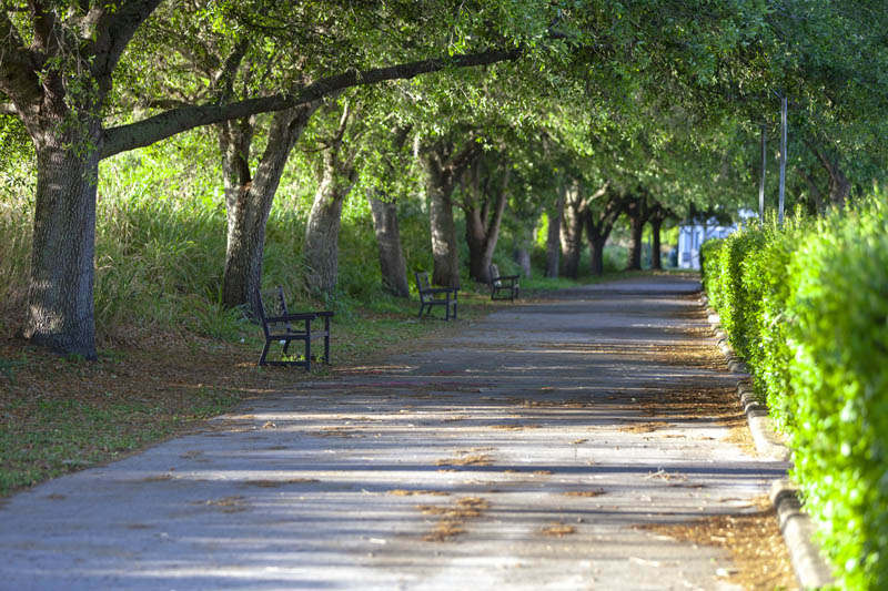 WATERMARK AT VISTAWILLA, THE photo 4