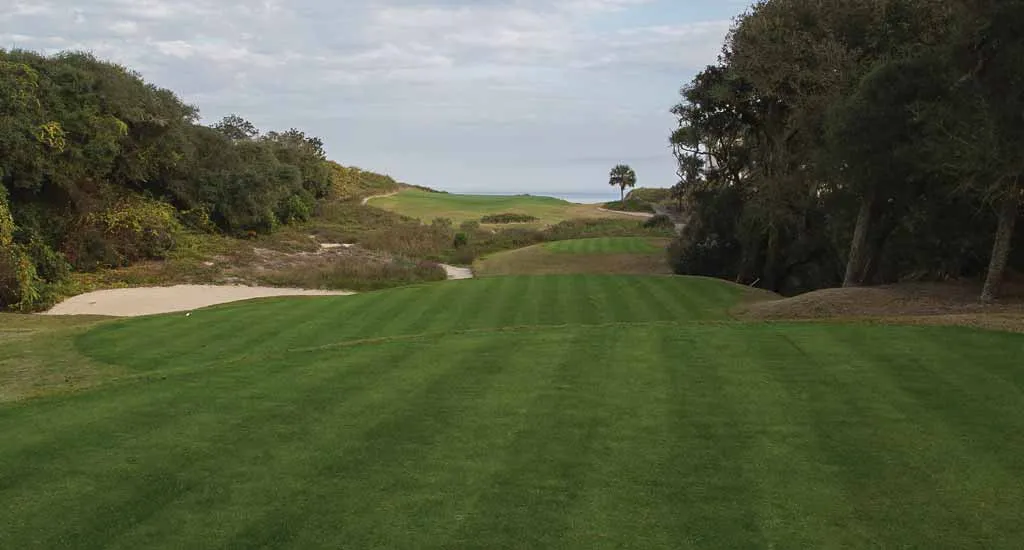 OSPREY VILLAGE AT AMELIA ISLAND, LTD photo 6